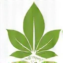 Icona di una foglia verde stilizzata, simbolo di ingredienti naturali al 100%.
